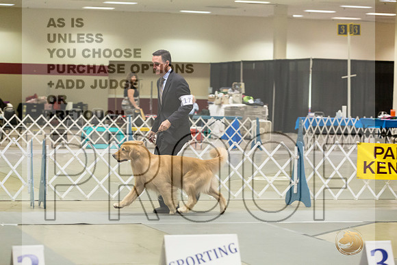 Golden REtriever #17 RingJJL_4172_Amarillo_2022_HR3
