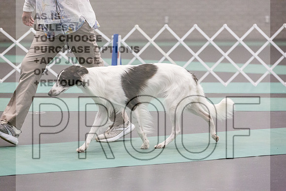 Silken Windhound Ring FRi Ring 1_JJL_5208_UKCLNGVIEWOCT2024_2024_HR3