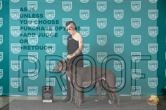 Greyhounnds #104 #105 Judge Jennifer Landers__JP_0309_Premier_2024_HR3