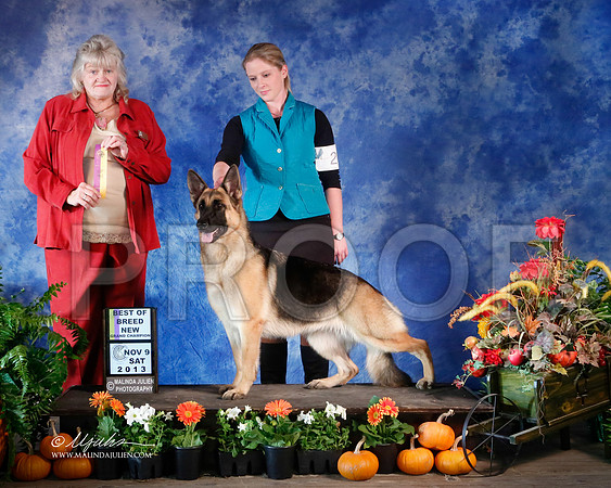 GSD-4351-HstnNov13-HR