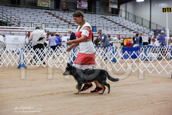 _JN_2211-TxArJun2014-HR3
