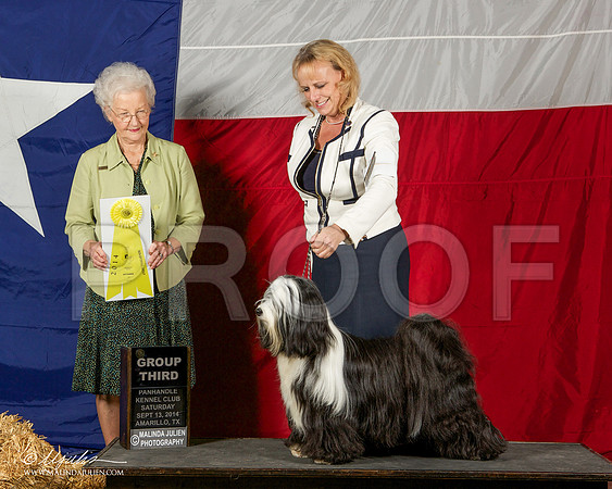 _ST_1833-AmarilloSep2014-HR3