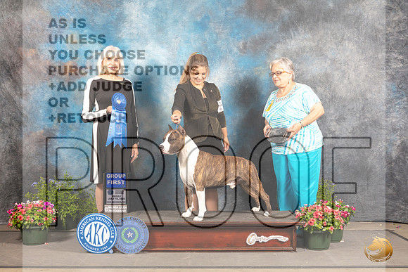 American Staffordshire Terrier #19 Fri G1 Judge Jan Paulk_MJ_0025_SA_2022_HR3