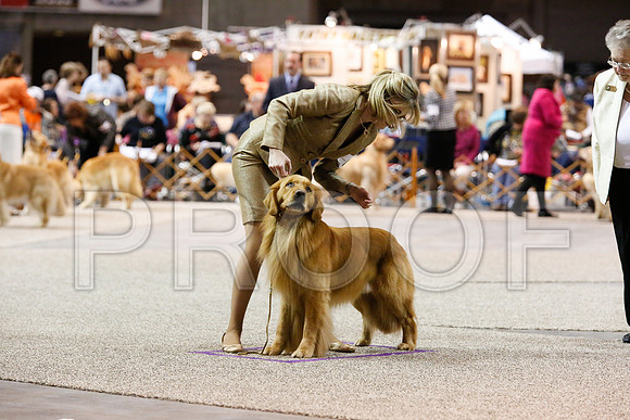 BoBF-4179-WFOct2013-HR