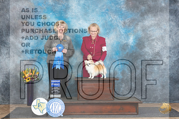 Chihuahua Long Coat #7 Sun G1 Judge Vicki Abbott__JP_0160_Abilene_2024_HR3