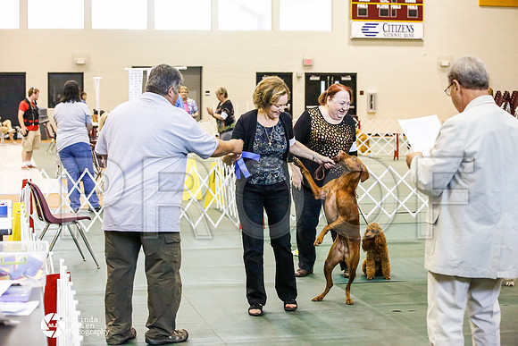 _JJ_4789-BsrCtyJun2014-HR3