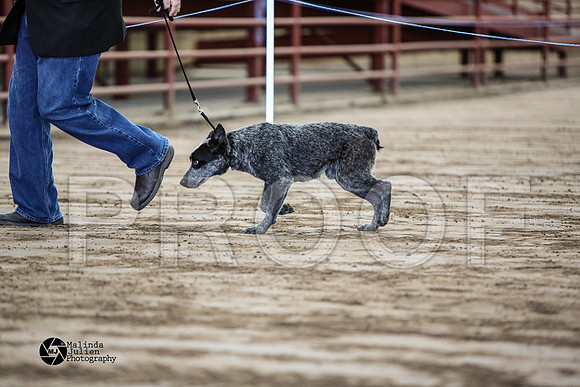 MJ2_0577-WacoFeb14-HR