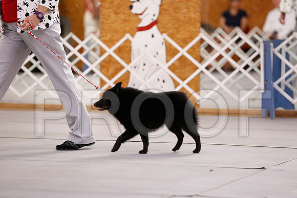 _RH_6055-CarlrolltonSept2014-HR3