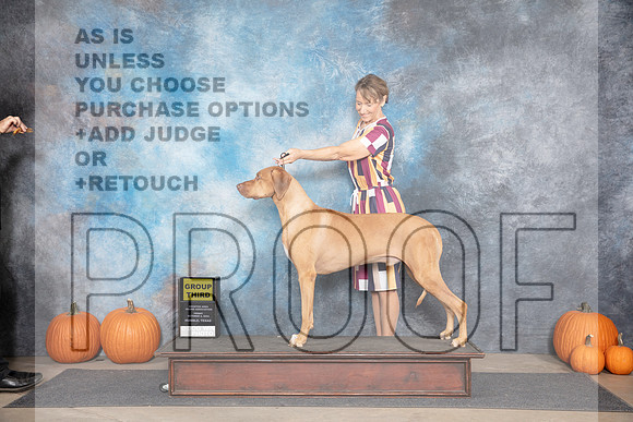 Rhodesian Ridgeback #9 Fri G3 Judge Ann Meyer__JP_9112_Humble_2024_HR3
