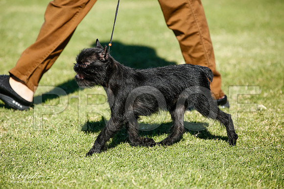 _JJ_6645-AlamogordoOct2014-HR3