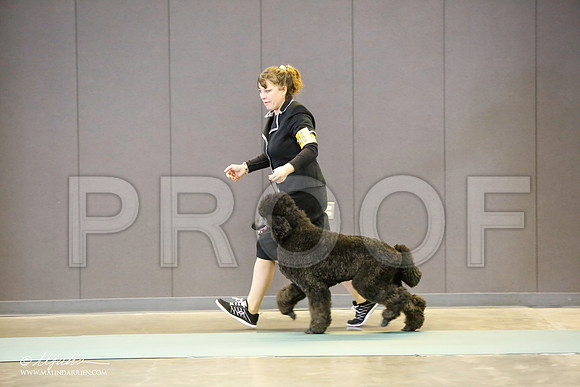 _LH_3116-BeltonJan2015-HR3