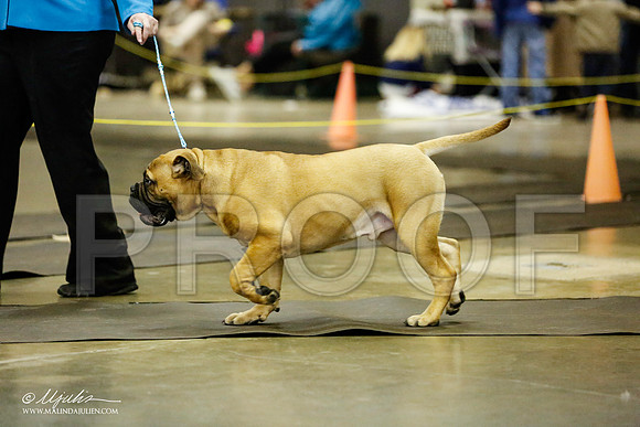 _RH_1542-BeltonJan2015IABCA-HR3
