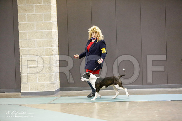 _RH_0371-BeltonJan2015-HR3