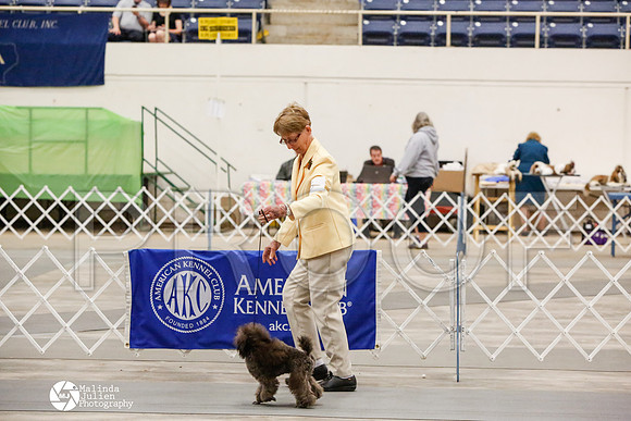 _CK_7973-AblnMay2014-web