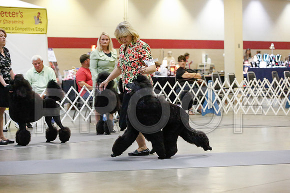 _JJ_0006-AmarilloSept2014-HR3