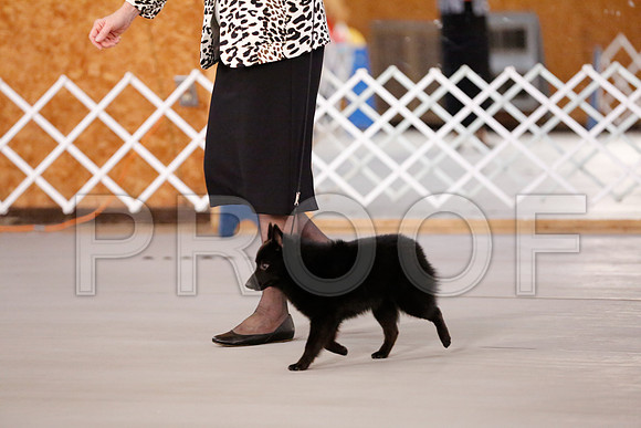 _RH_8251-CarlrolltonSept2014-HR3