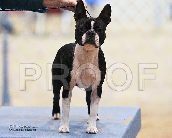 GrpNSFriPup-2392-LR