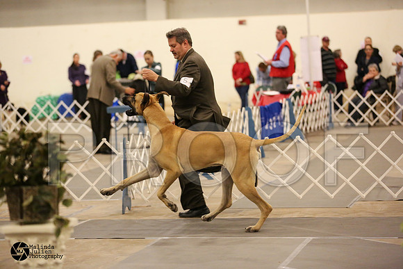 Dane-6104-MIdFeb14-HR