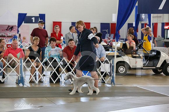 _JJ_2119-DallasJul2014-HR3