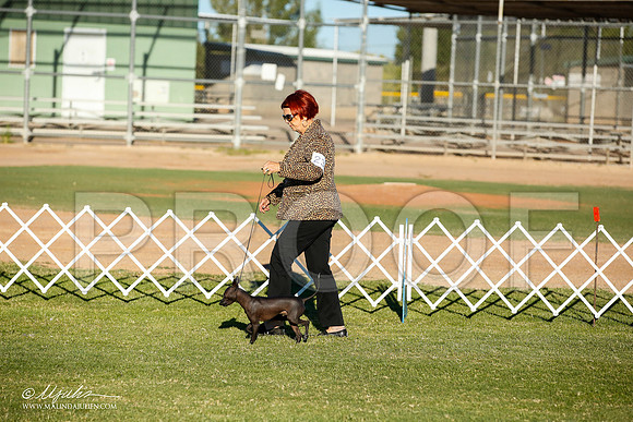 _JN_7922-AlamogordoOct2014-HR3