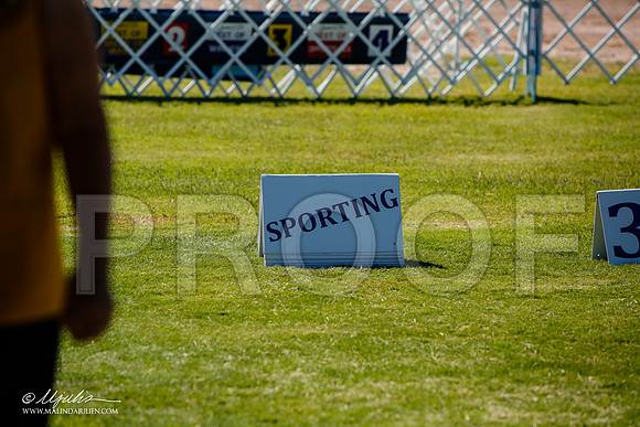 _JJ_5236-AlamogordoOct2014-HR3