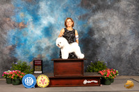Bichon Frise #7 Thur G2 Judge Michael Canalizo