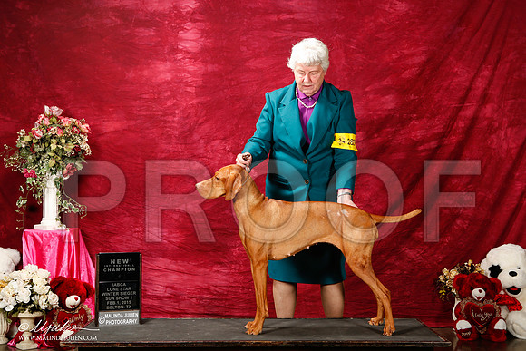 _ST_2916-2-BeltonJan2015IABCA-HR3