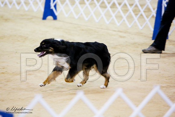 _JN_7538-ASCACollegeStationNov2014-HR3