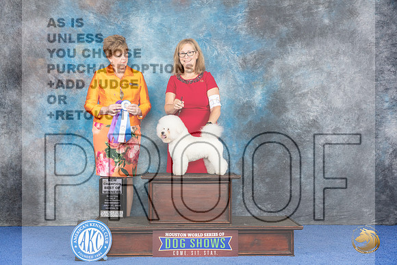 Bichon Frise #9 WED WD BOW NC Judge Denise Flaim__JP_7158_Houston_2024_HR3