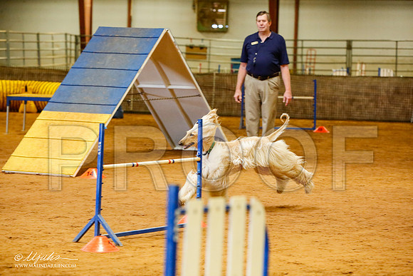 _MJ_2265-AfgBeltonOct2014-HR3