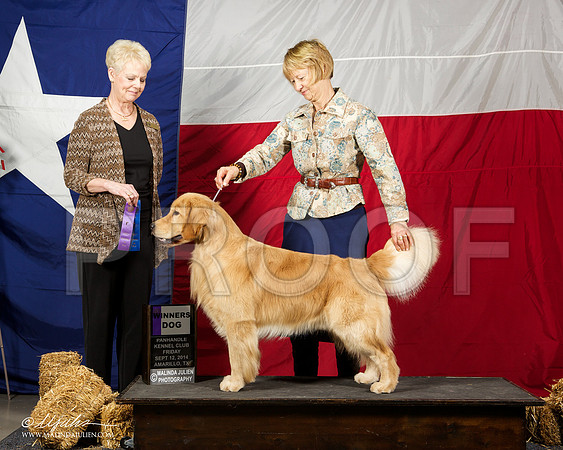 _ST_1487-AmarilloSep2014-HR3