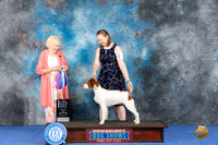 Brittany #16 WED WB BOW NC Judge Nancy Liebes