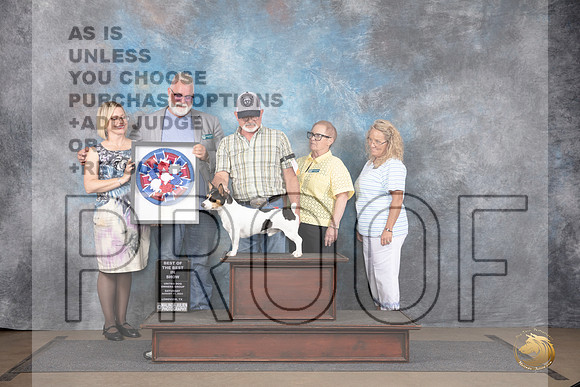 Teddy Roosevelt Terrier #11 Sat Best of The Best __JP_2782_LongviewTX_2024_HR3