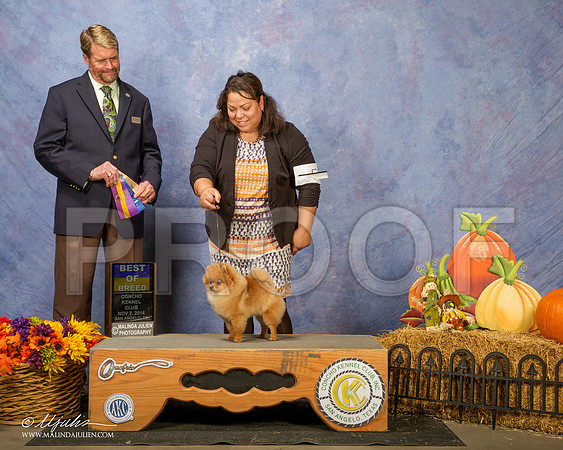 _CL_4631-SanAngelo2014-HR3