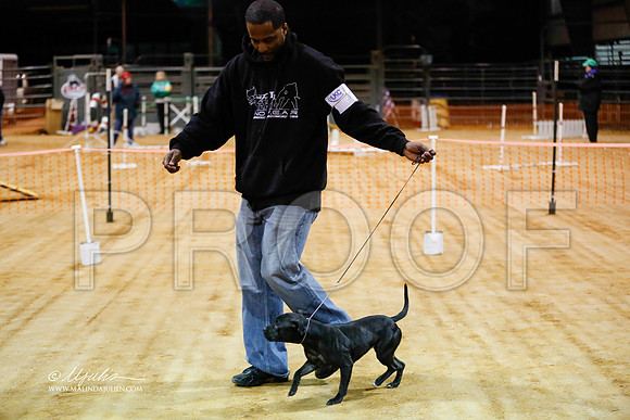 staffy-1438-MrshlDec13-HR