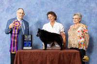 #51 BISS Judge Donald Gill
