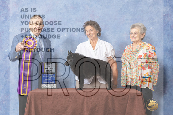 #51 BISS Judge Donald Gill-_CL_8909_Schip_2022-HR3