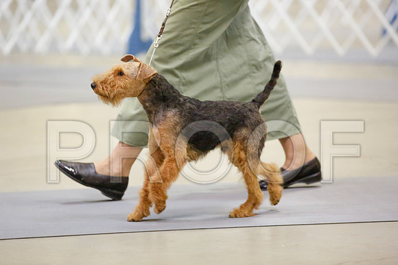 _JN_5870-AmarilloSept2014-HR3