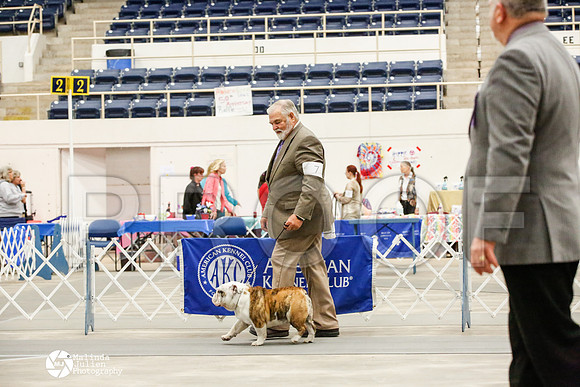 _JJ_8327-AblnMay2014-web