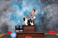 Havanese #11 Sat BOBBOW Judge Helen Tomb-Taylor