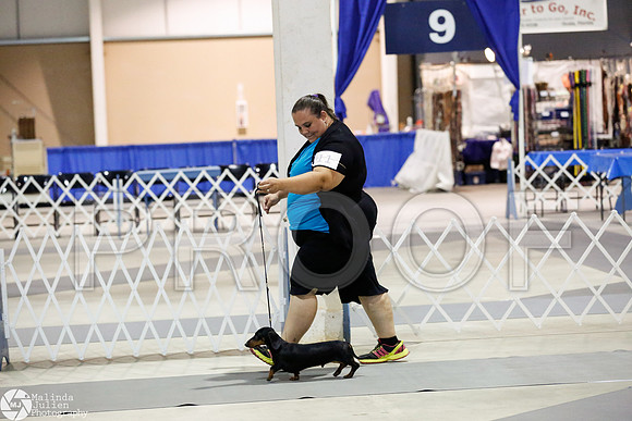 _CL_8612-SanAntonioJul2014-HR