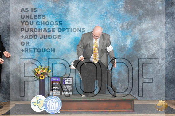 Portuguese #6 Fri WBBOB Judge Rick Gschwender__JP_9259_Abilene_2024_HR3