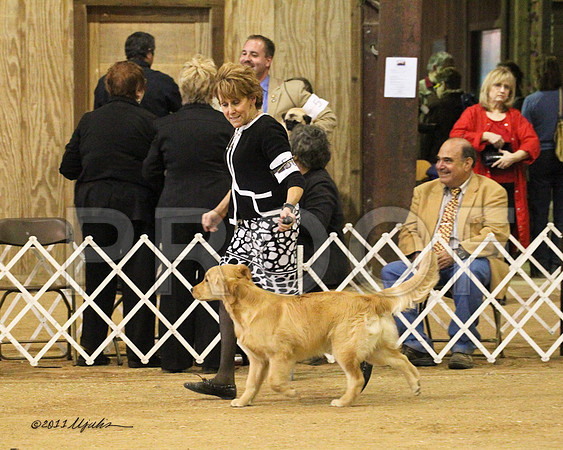 BIS Puppy-9117