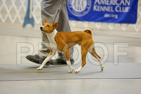 _JJ_3508-AmarilloSept2014-HR3