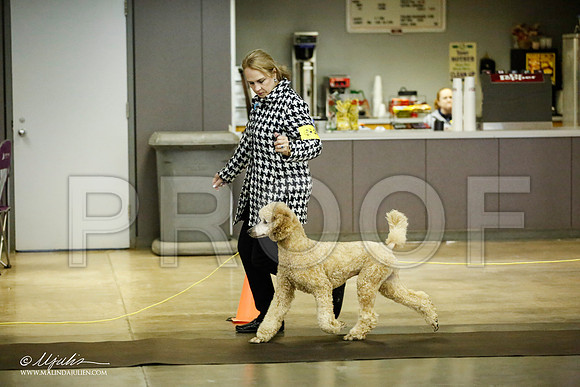 _JJ_5622-BeltonJan2015IABCA-HR3