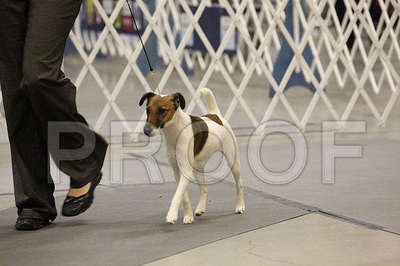 MJS_2457