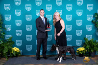 American Pit Bull Terrier TD