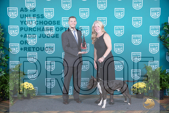 American Pit Bull Terrier TD__JP_2903_UKCTDI2024_HR3