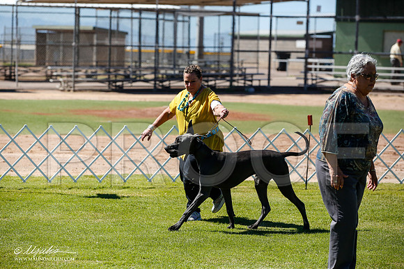 _JN_6423-AlamogordoOct2014-HR3