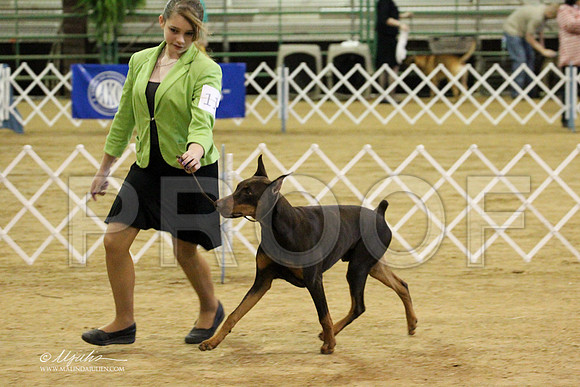 Dobe-3513